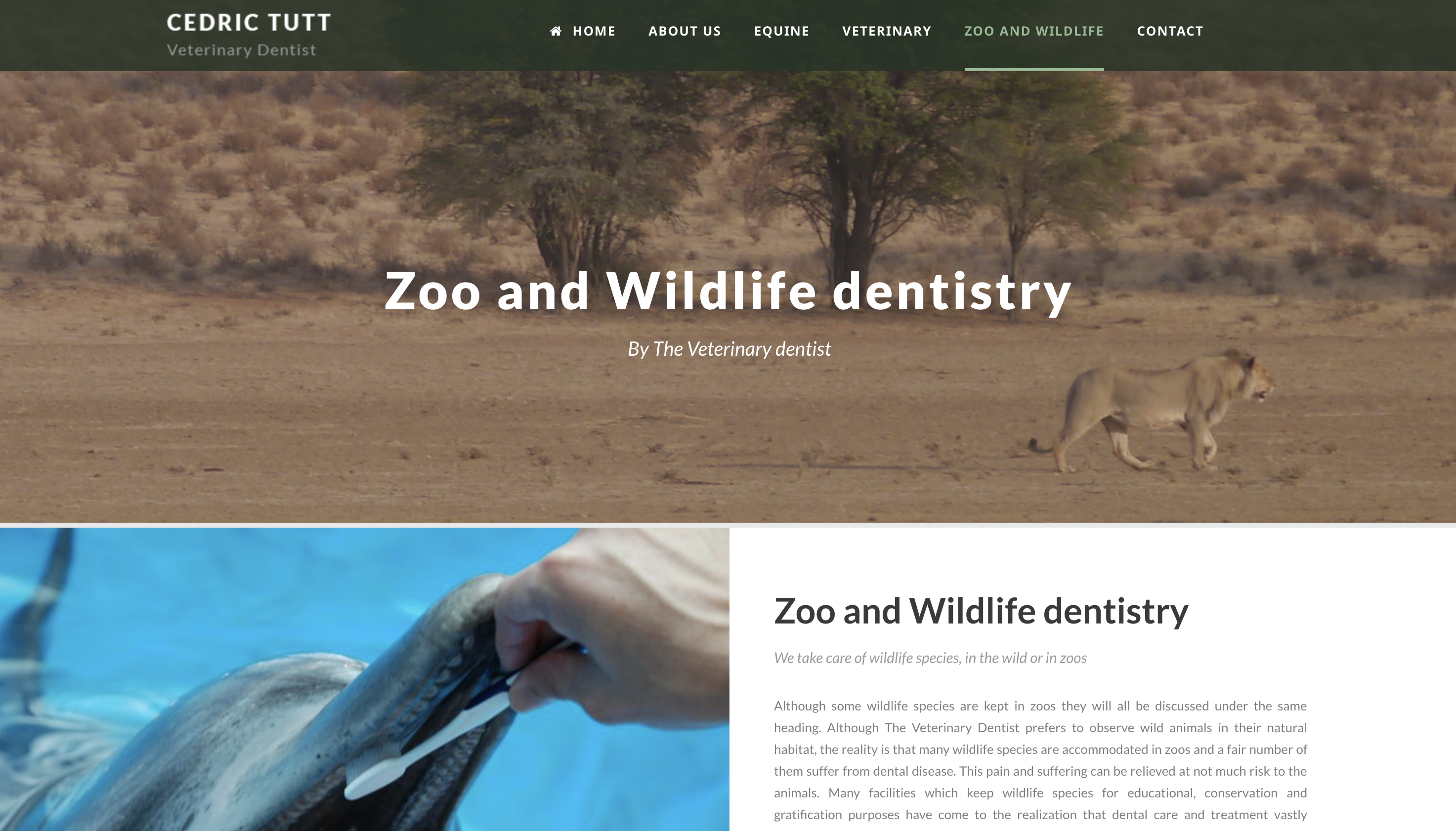LastShore manages the Veterinary Dentist Website